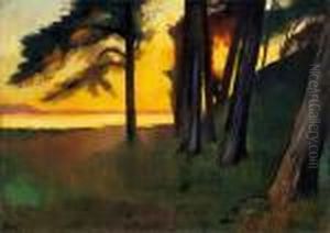 "abend An Einem See Mit Kiefernwald (grunewaldsee?)"