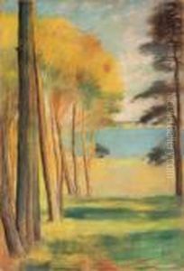 Havelsee Mit Kiefern by Lesser Ury