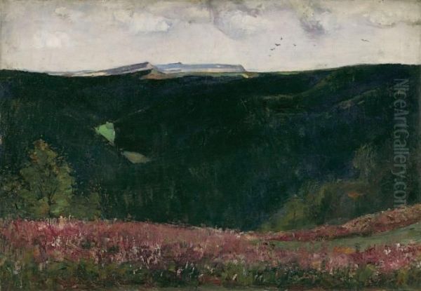 Thuringer Wald - view 1