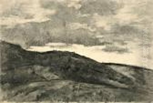 Dunen In Holland - view 1