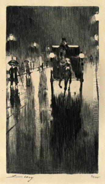 Pferdedroschke Im Regenwetter - view 1