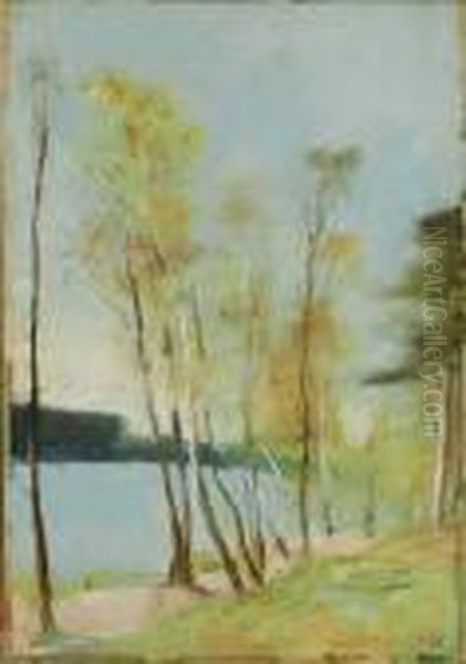 Markischer See Im Herbst - view 1