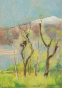 Baume Vor Berglandschaft Baume Vor Berglandschaft