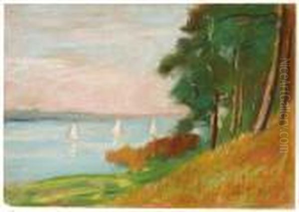 Segelregatta Amwannsee - view 1