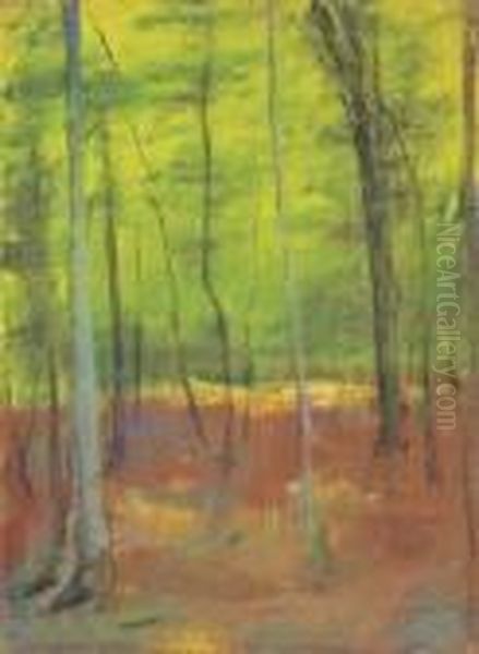 "sonne Im Buchenwald" - view 1