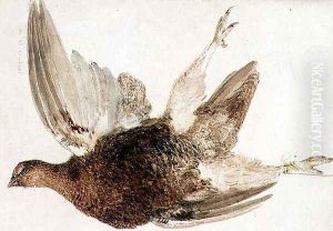 Grouse, from The Farnely Book of Birds, c.1816 Grouse, from The Farnely Book of Birds, c.1816