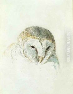 White Barn Owl, from The Farnley Book of Birds, c.1816 by Joseph Mallord William Turner