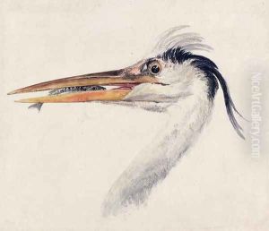 Heron with a fish by Joseph Mallord William Turner