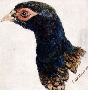 Cock Pheasant, The Farnley Book of Birds, c.1816 by Joseph Mallord William Turner