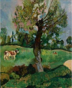 L'aulne Dans La Prairie