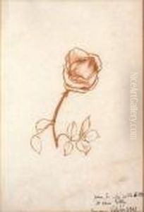 La Rose by Suzanne Valadon
