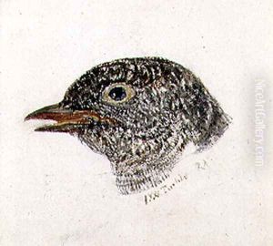 Cuckoo, from The Farnley Book of Birds, c.1816 by Joseph Mallord William Turner