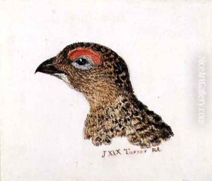 Head of Grouse, from The Farnley Book of Birds, c.1816 by Joseph Mallord William Turner