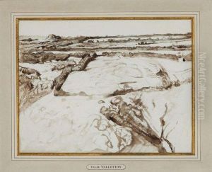 Paysage A Guernesey