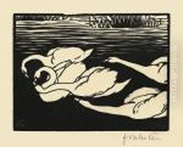 Les Cygnes. - view 1
