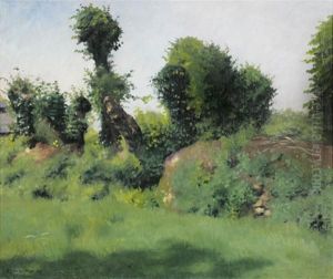La Haie La Haie