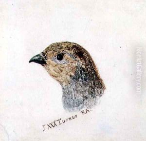 Partridge, from The Farnley Book of Birds, c.1816 by Joseph Mallord William Turner