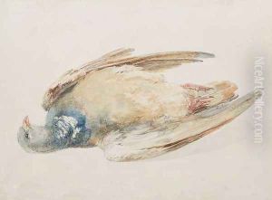Pigeon, from The Farnley Book of Birds, c.1816 by Joseph Mallord William Turner