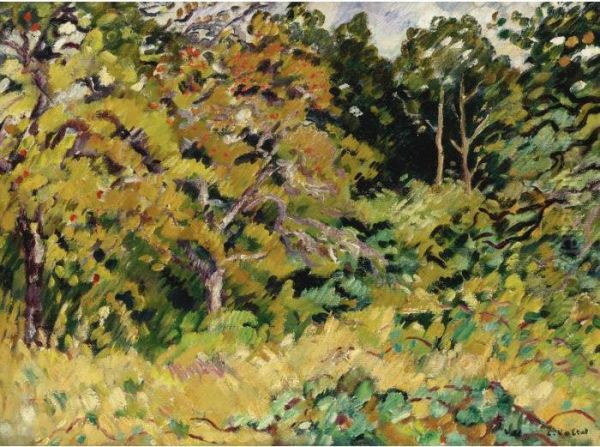 Bouquet D'arbres A Choisel - view 1