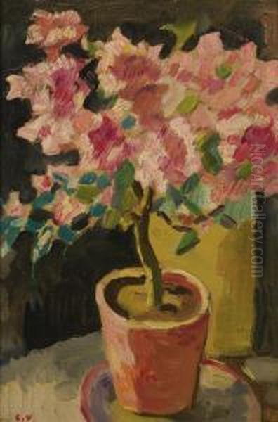 Pot D'azalees - view 1
