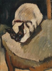 Le Chat Siamois Sur La Chaise Le Chat Siamois Sur La Chaise