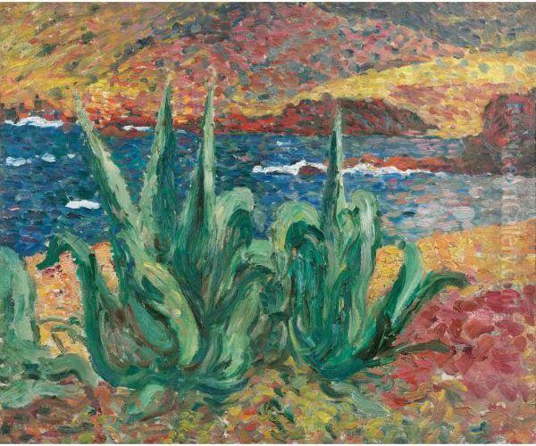 Les Agaves - view 1