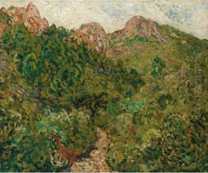 Paysage Du Midi