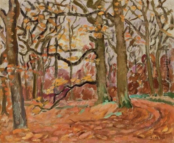 Sous-bois En Automne - view 1