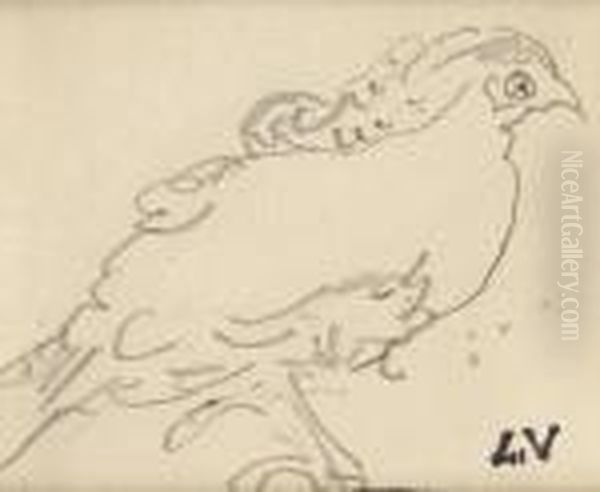 Oiseau - view 1