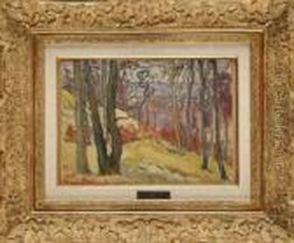 Paysage De Sous-bois (sologne) - view 1