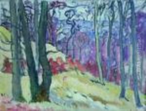 Paysage Paysage
