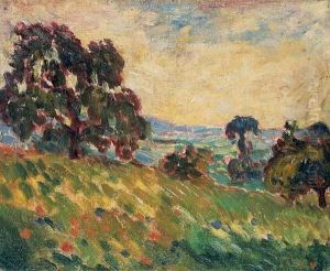 Paysage Paysage