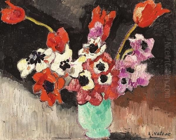 Anemones - view 1