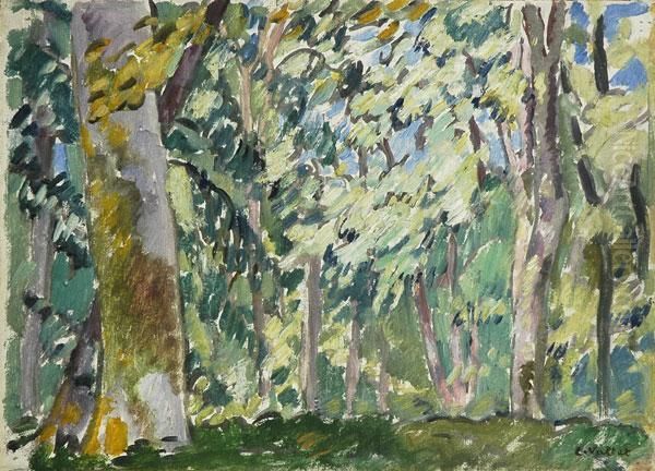 Sous Bois - view 1