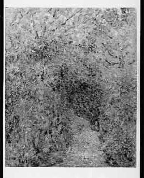 Sentier En Automne - view 1
