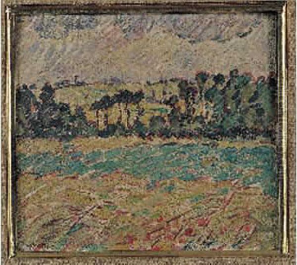 Paysage - view 1