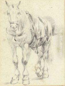 A Saddled Horse