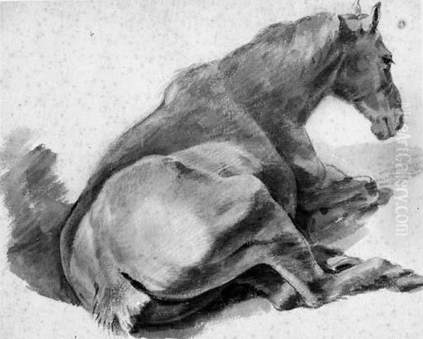A Horse Lying Down - view 1