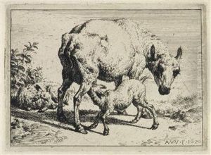 Kuh Und Kalb Kuh Und Kalb