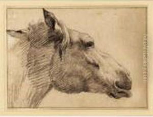 Study Of The Head Of A Horse by Adrian Van De Velde