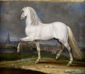 Portrait De Cheval Blanc Devant Un Panorama De La Ville De Cambrai