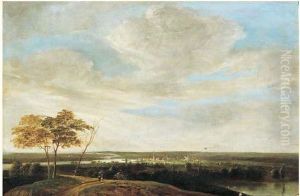 Paysage Panoramique Avec La Ville De Haarlem