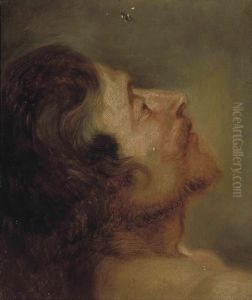 Head Study Of A Bearded Man