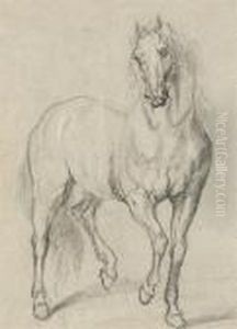 A Horse by Sir Anthony Van Dyck