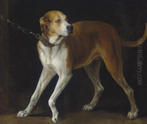 Follower Of Sir Anthony Van Dyck
 A Favorite Hound Held By A Chain
 Oil On Canvas
 38Â½ X 45Â¼ In by Sir Anthony Van Dyck