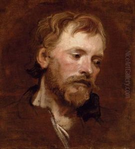 A Bearded Man, A Study by Sir Anthony Van Dyck