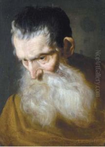 Head Of A Bearded Man