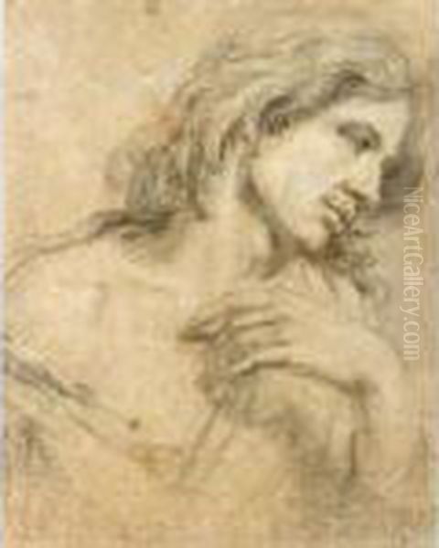 Study Of A Youth, Head And Shoulders - view 1