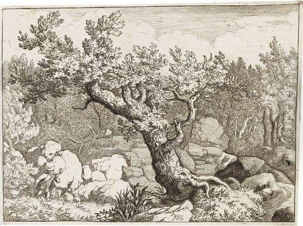 16 Blatter: Landschaftsdarstellungen - view 1