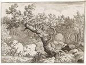 Landschaftsdarstellungen by Allart Van Everdingen